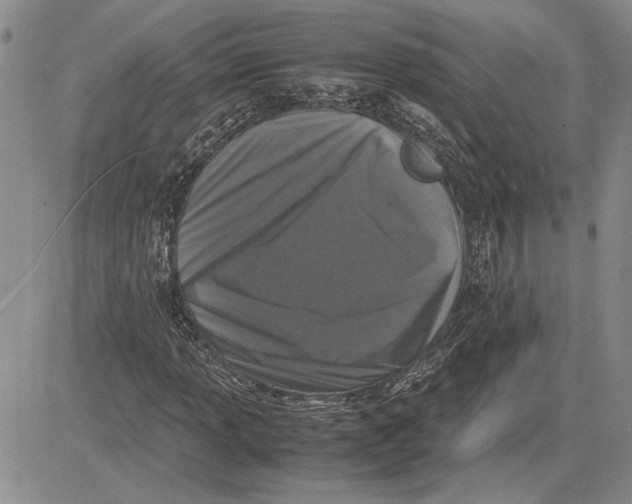 X0000081571013200702051209