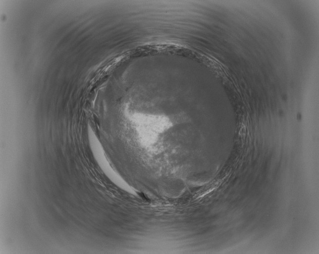 X0000081571014200702051209