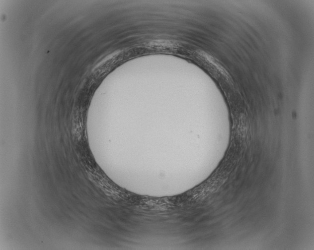 X0000081571015200702051209