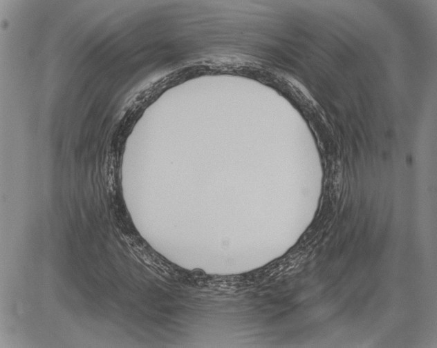 X0000081571016200702051209