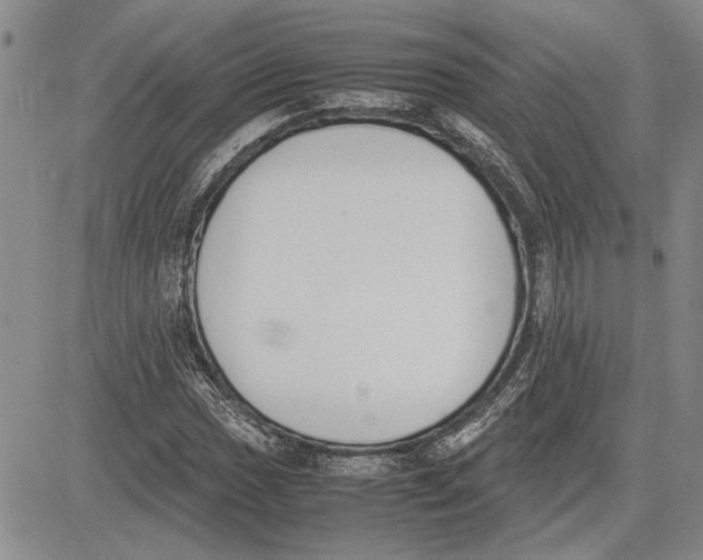 X0000081571017200702051209