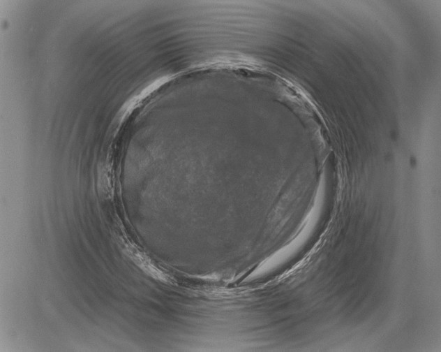 X0000081571018200702051209