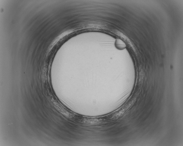 X0000081571019200702051209