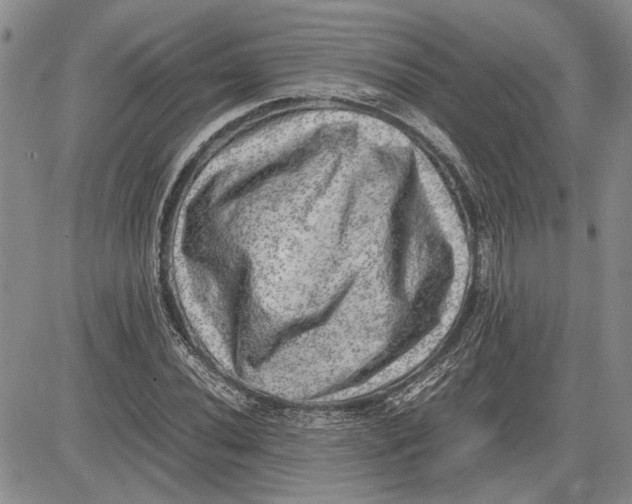 X0000081571020200702051209