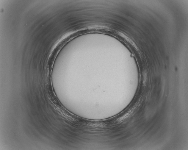 X0000081571021200702051209