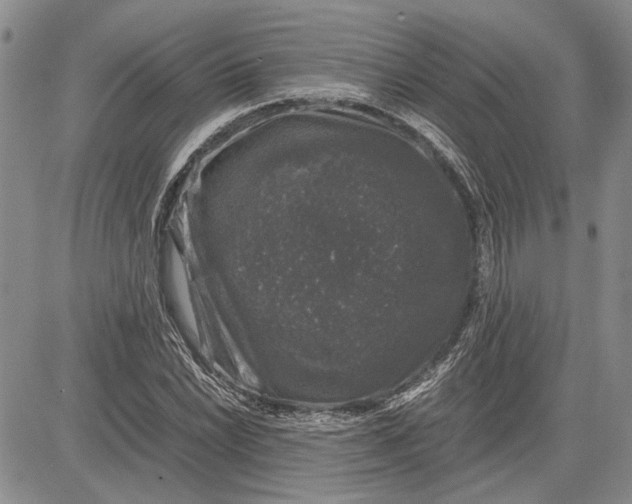 X0000081571022200702051209