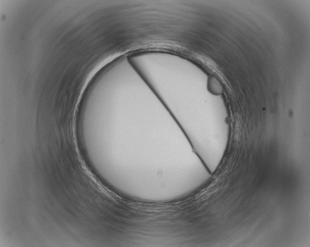 X0000081571024200702051209