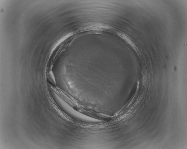 X0000081571026200702051209