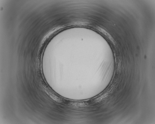 X0000081571027200702051209