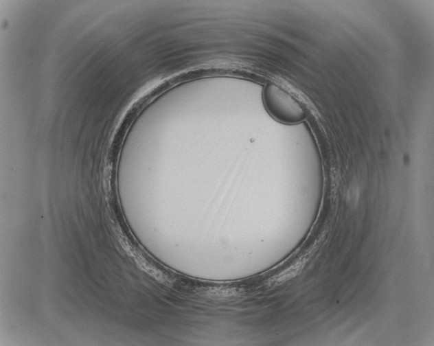 X0000081571029200702051209