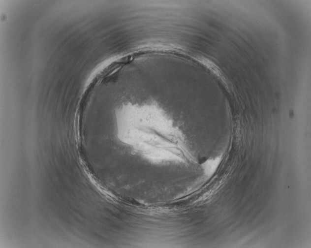 X0000081571030200702051209