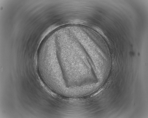 X0000081571032200702051209