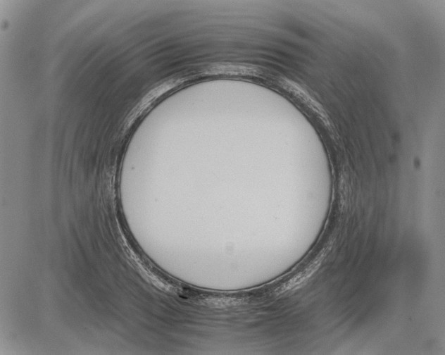 X0000081571033200702051209