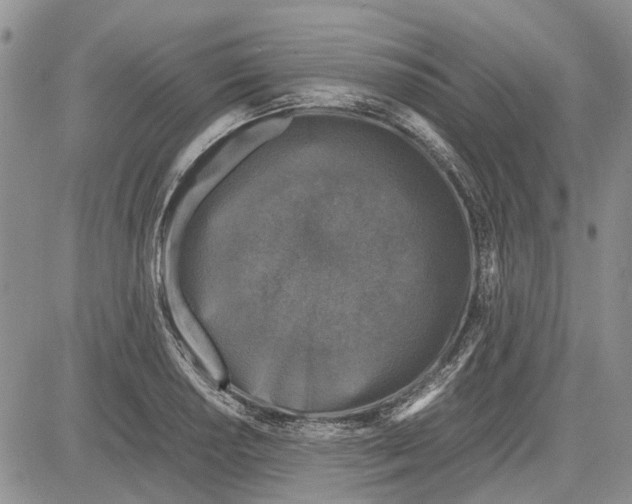 X0000081571034200702051209