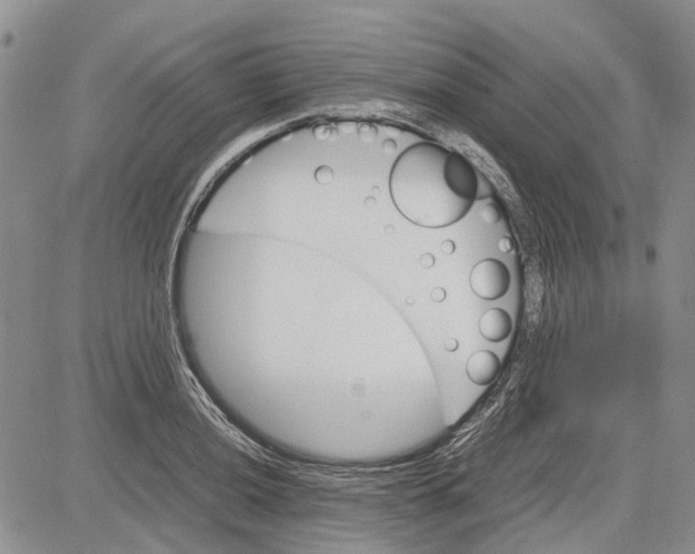 X0000081571036200702051209