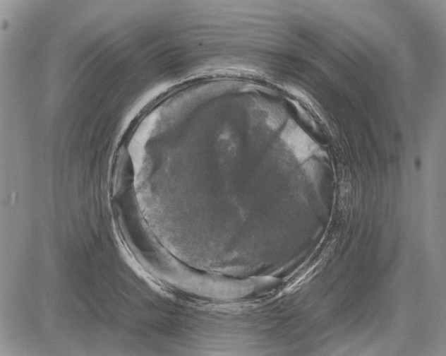 X0000081571038200702051209