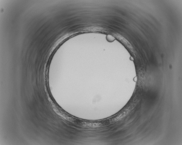 X0000081571039200702051209