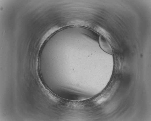 X0000081571040200702051209