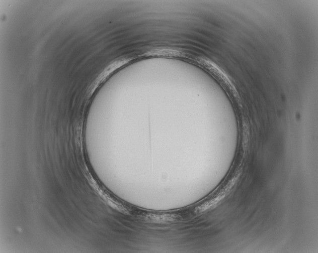 X0000081571041200702051209