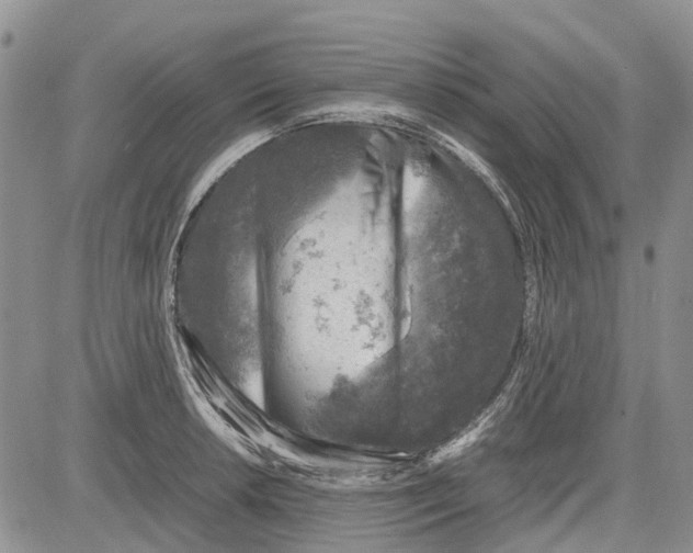 X0000081571042200702051209