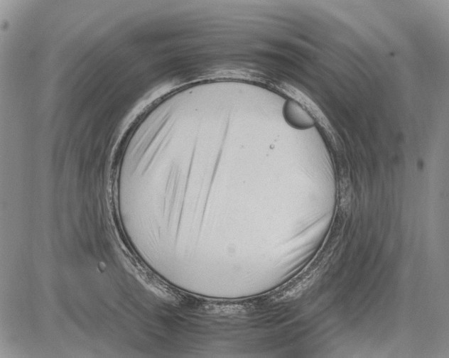 X0000081571043200702051209