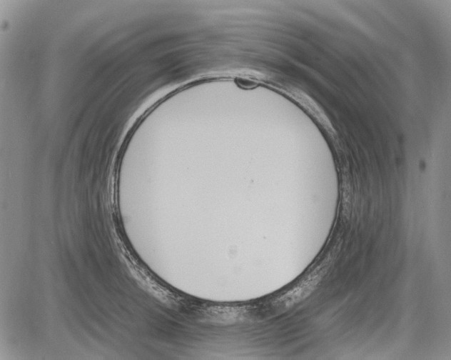 X0000081571044200702051209