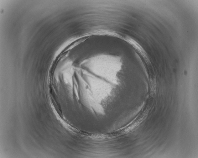 X0000081571046200702051209