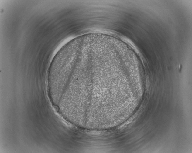 X0000081571048200702051209