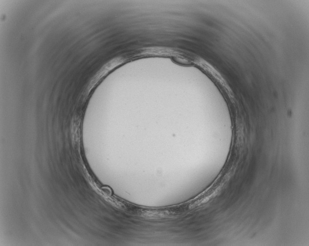 X0000081571049200702051209