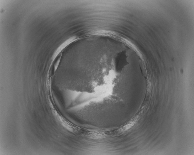 X0000081571050200702051209