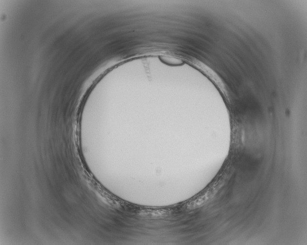 X0000081571051200702051209