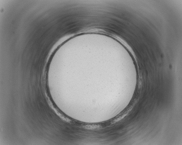 X0000081571053200702051209