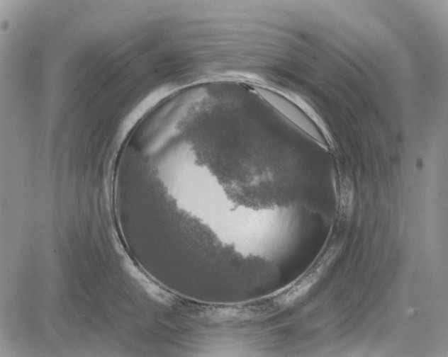 X0000081571054200702051209