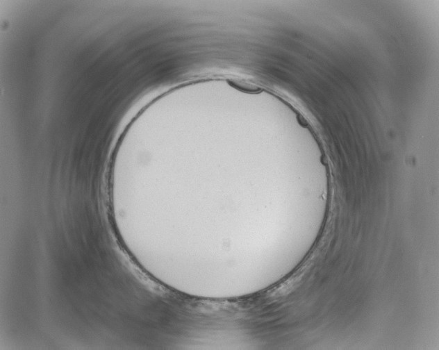 X0000081571056200702051209