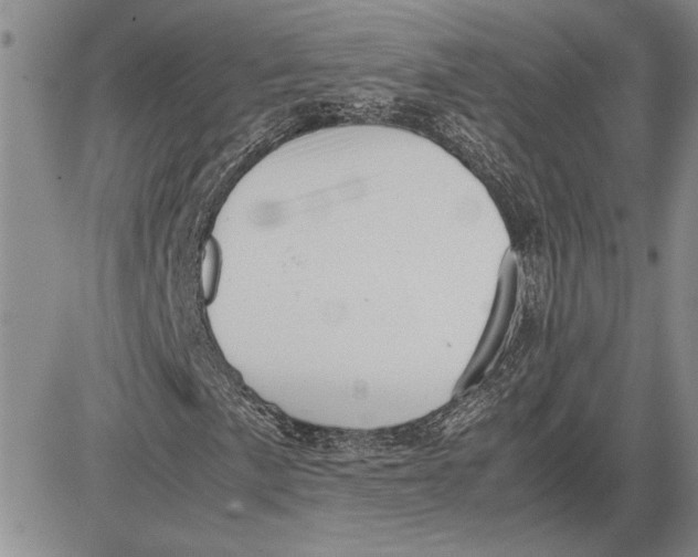 X0000081571057200702051209