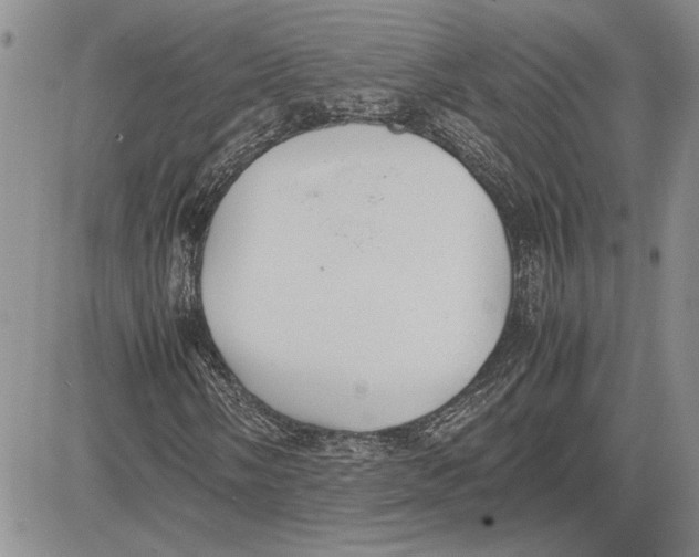 X0000081571058200702051209