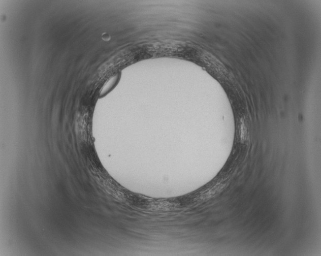 X0000081571059200702051208