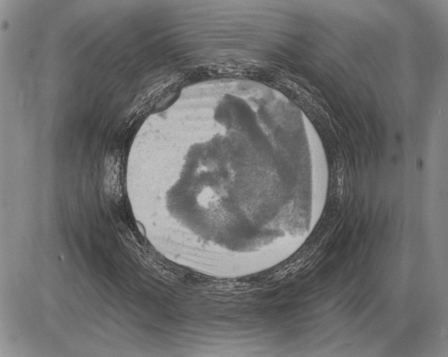 X0000081571060200702051208