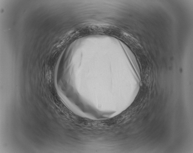 X0000081571061200702051208