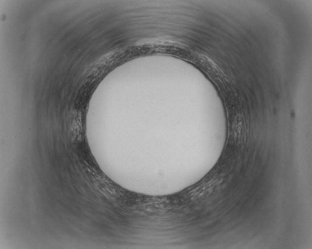 X0000081571062200702051208