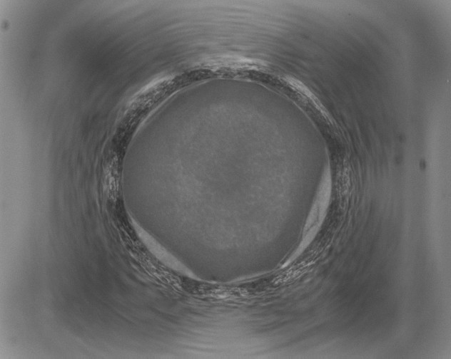 X0000081571063200702051208