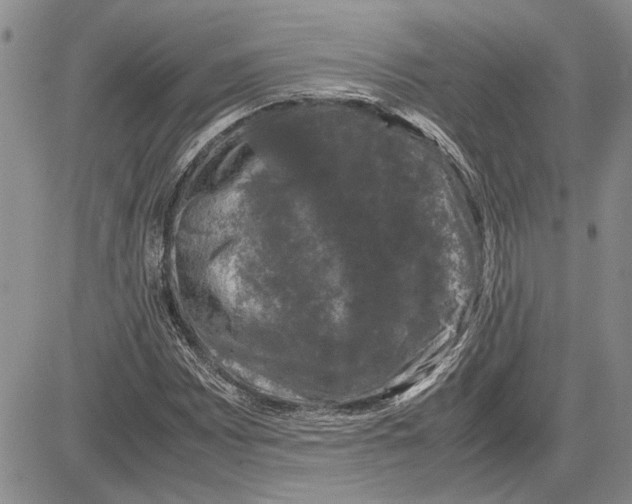 X0000081571065200702051208