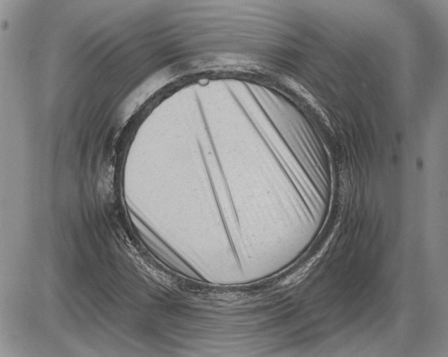 X0000081571066200702051208