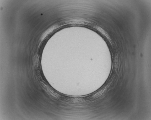 X0000081571067200702051208