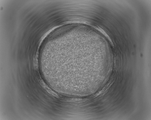 X0000081571068200702051208