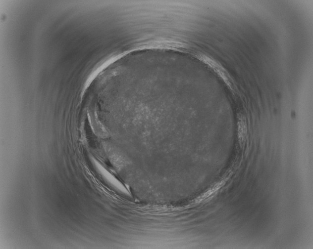 X0000081571069200702051208