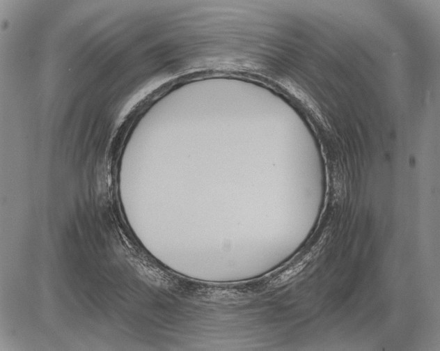 X0000081571070200702051208