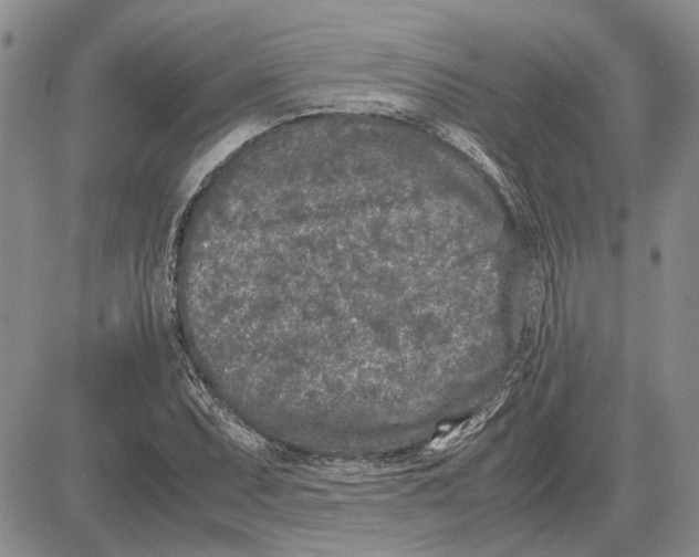 X0000081571071200702051208