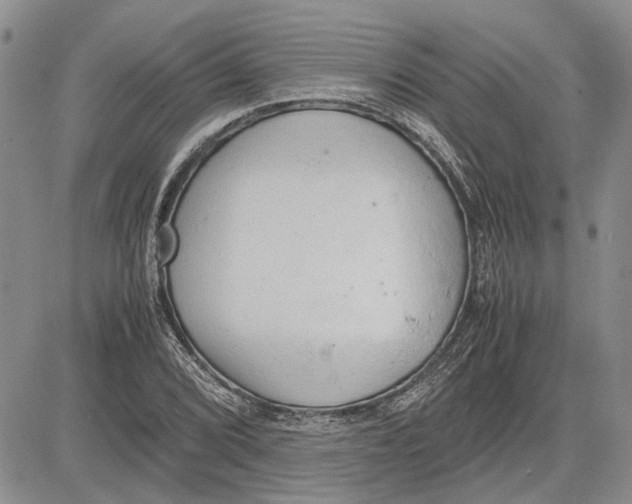 X0000081571072200702051208