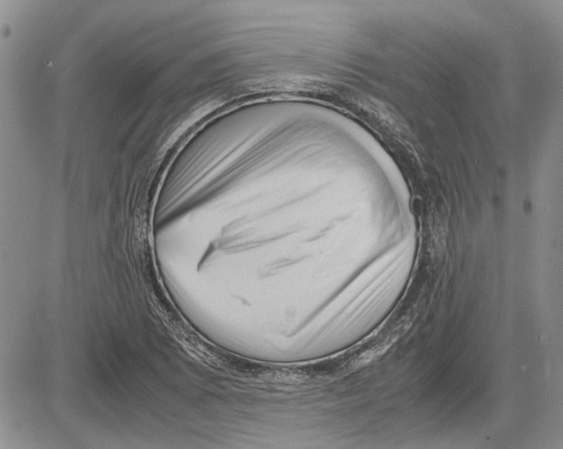 X0000081571073200702051208